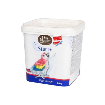 سرلاک طوطی دیلی نیچر Start