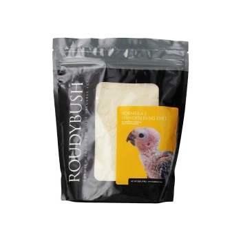 سرلاک طوطی رودیبوش