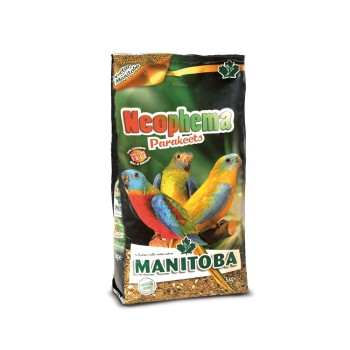 دان مخلوط طوطی Neophema منیتوبا