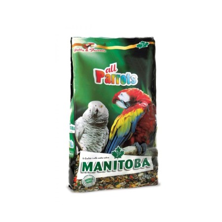 دان مخلوط طوطی بزرگ جثه منیتوبا