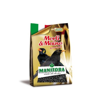 پلت سیاه مرغ مینا منیتوبا