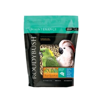 پلت طوطی رودیبوش MEDIUM