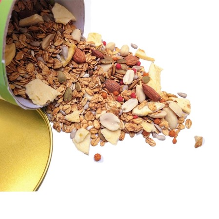 چیپس طوطی سانان