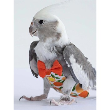 پوشک عروس هلندی 2