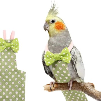 پوشک عروس هلندی