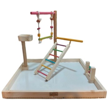 پارک بازی طوطی