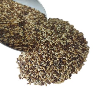 مغز تخم کتان