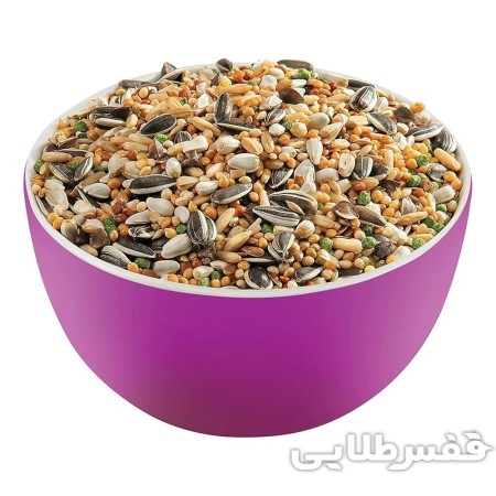 دان مخلوط طوطی استرالیایی ورسلاگا Australian Parakeet