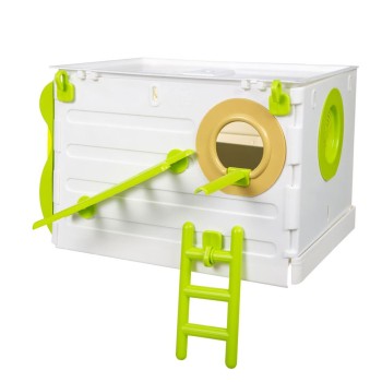 لانه عروس هلندی جاوا