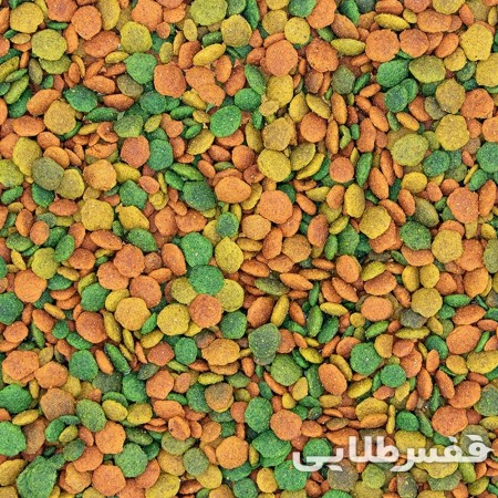 پلت ورسلاگا  G18 Tropical