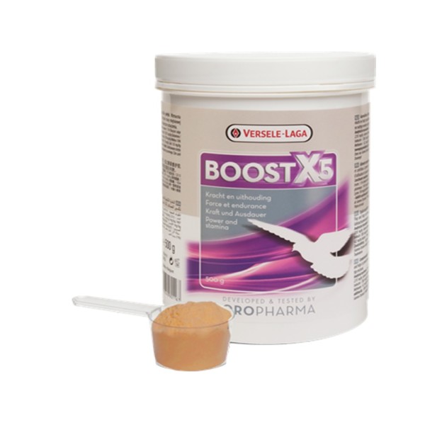 مکمل و انرژی زا BOOST X5